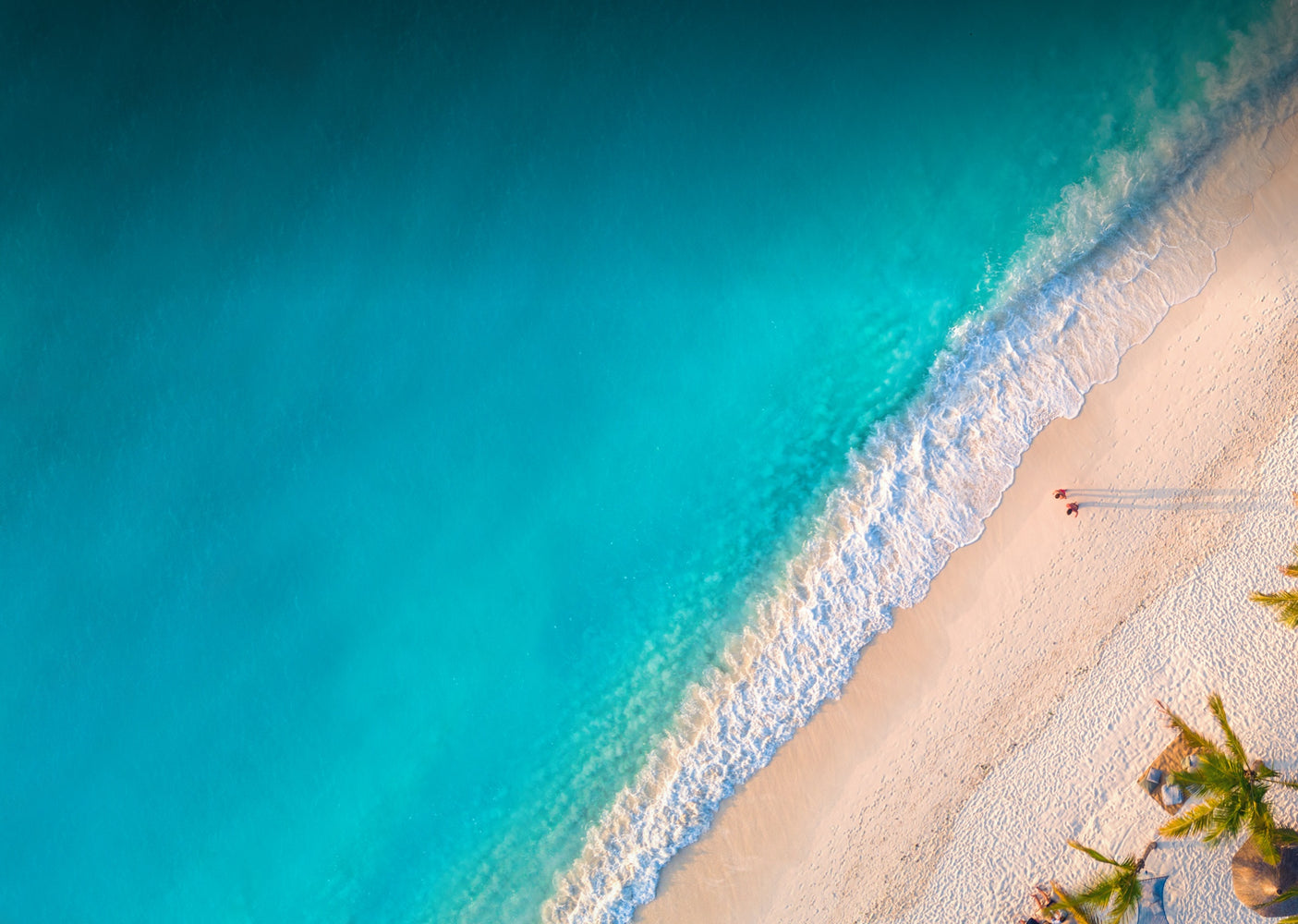 arial view of a beach